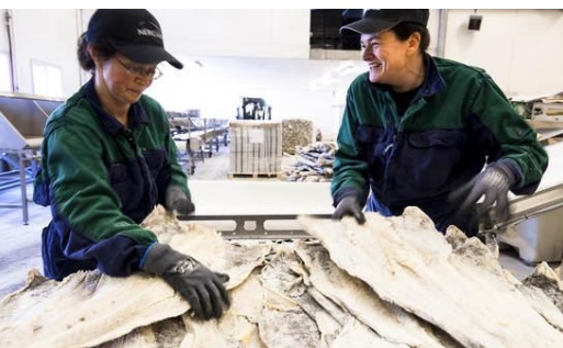 Icelands Samherji Boosts Stake in Major Norwegian Fish Producer Nergård